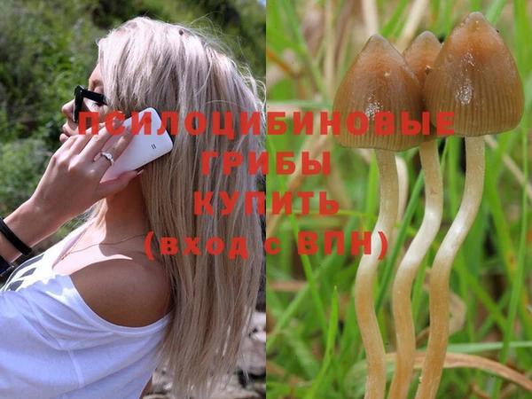 ешки Алзамай