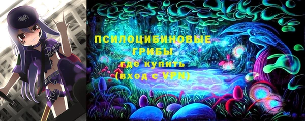 ешки Алзамай